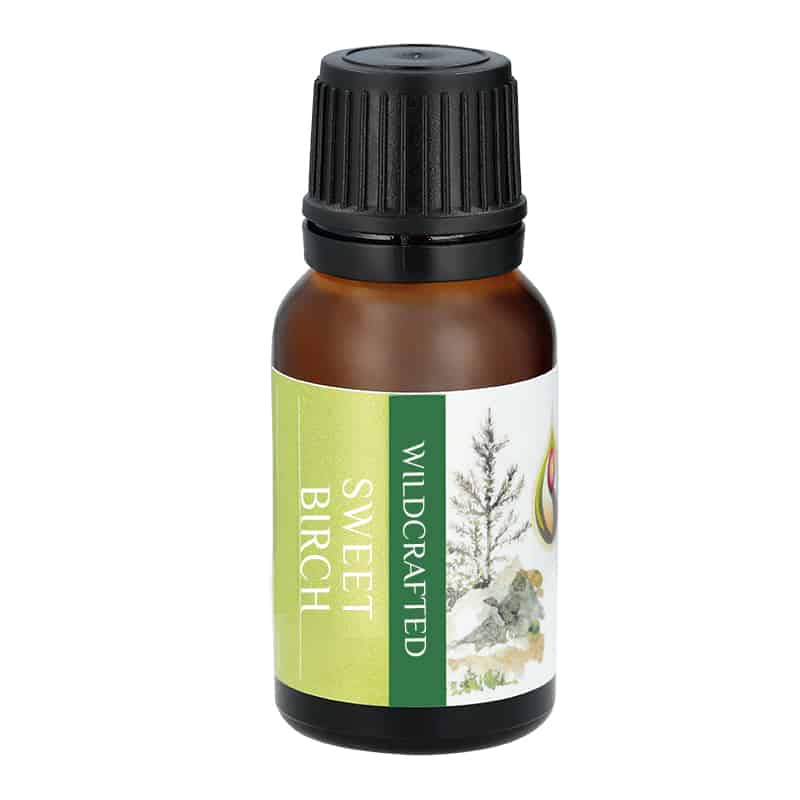 Sweet Birch Essential Oil - Therapeutic Quality from Artisan Aromatics
